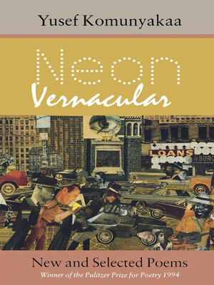 cover image of Neon Vernacular